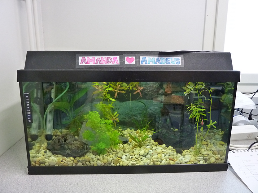 %_tempFileNameP1050330%