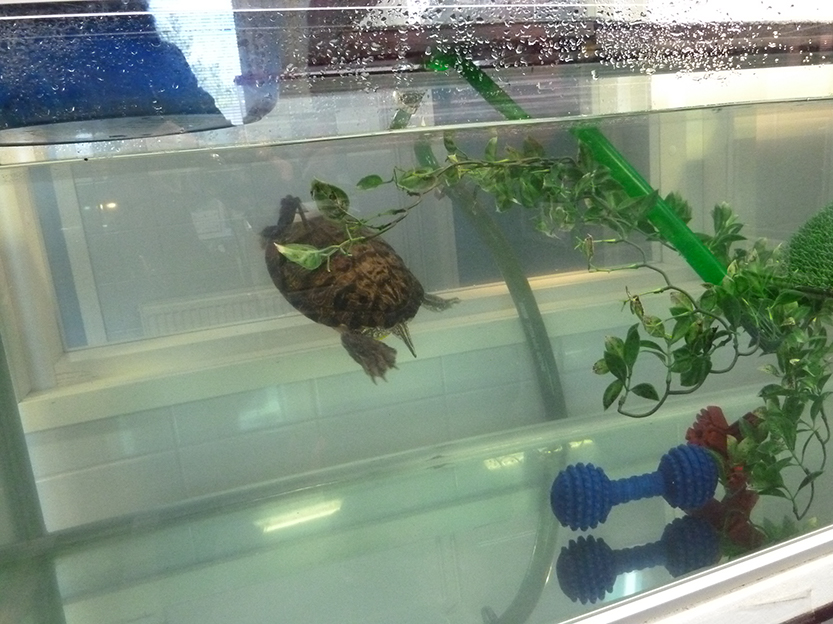 %_tempFileNameP1050333%