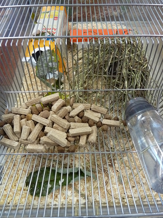 %_tempFileNameP1050334%