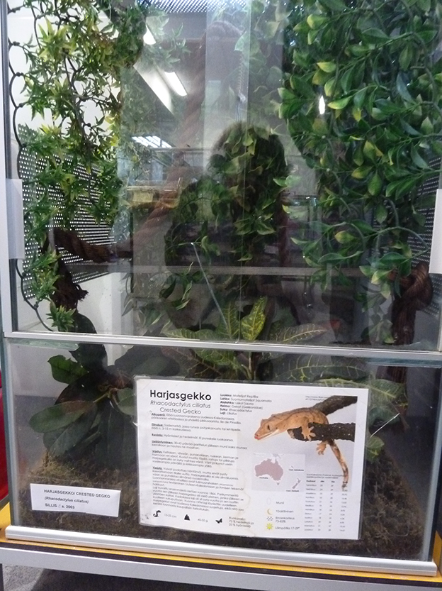 %_tempFileNameP1050335%