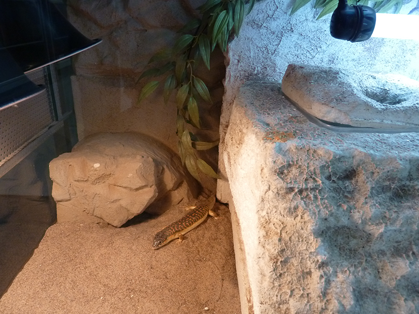 %_tempFileNameP1050338%