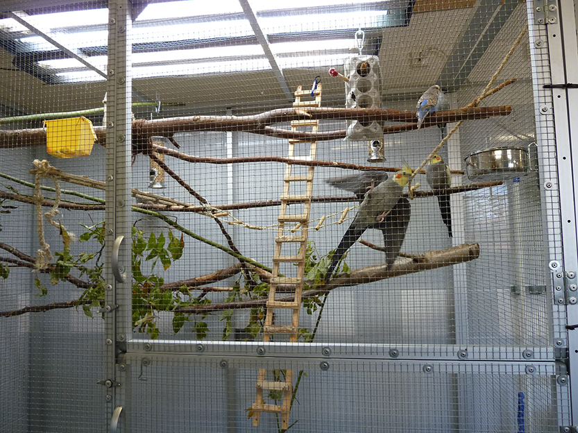 %_tempFileNameP1050339%