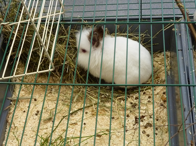 %_tempFileNameP1050343%