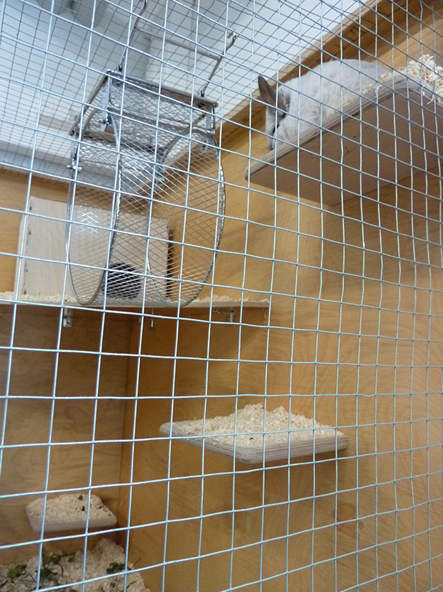 %_tempFileNameP1050344%