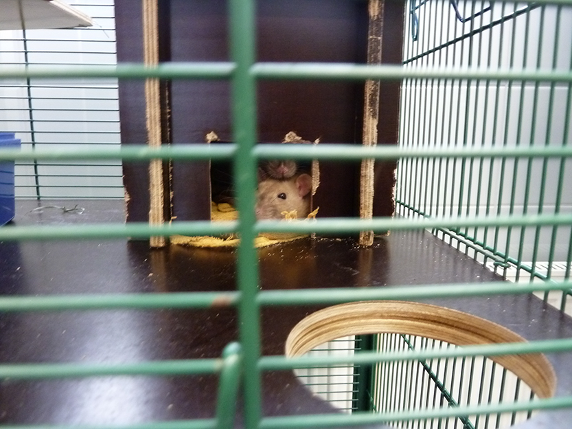 %_tempFileNameP1050345%