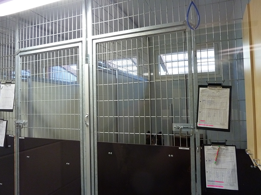 %_tempFileNameP1050349%