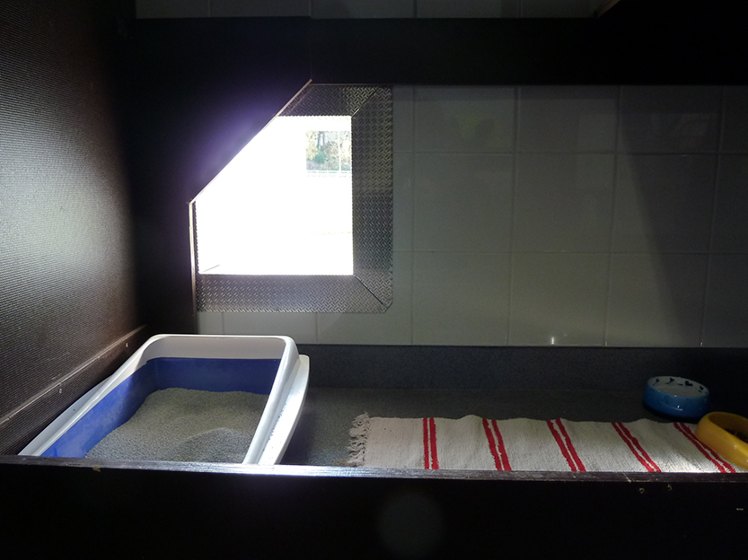 %_tempFileNameP1050350%