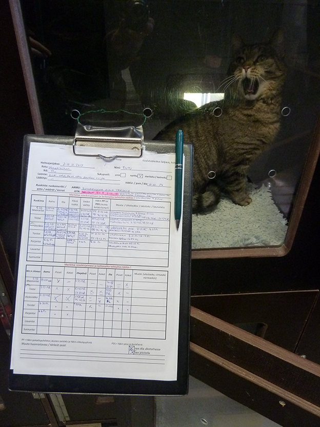 %_tempFileNameP1050351%