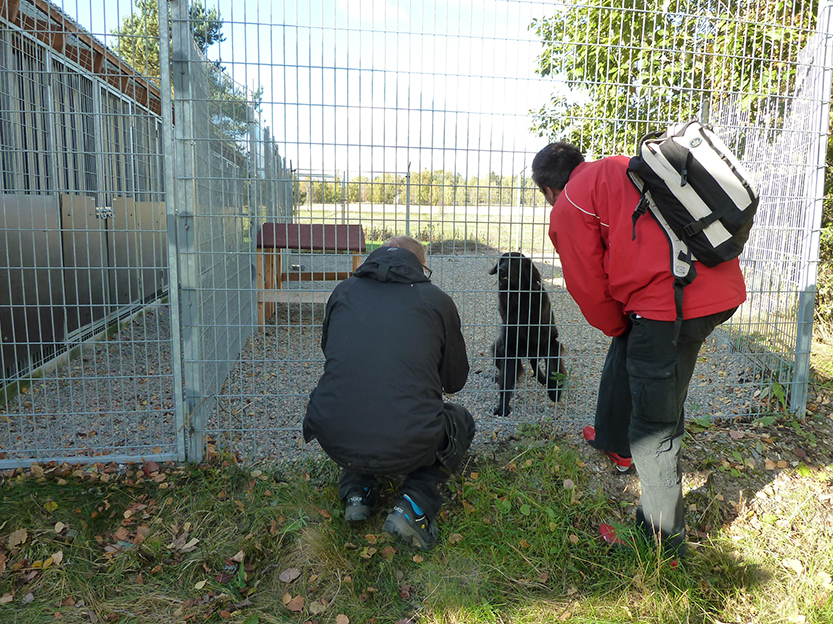 %_tempFileNameP1050352%