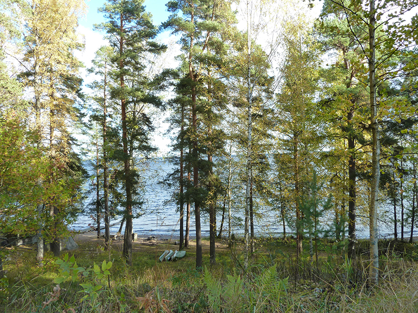 %_tempFileNameP1050359%