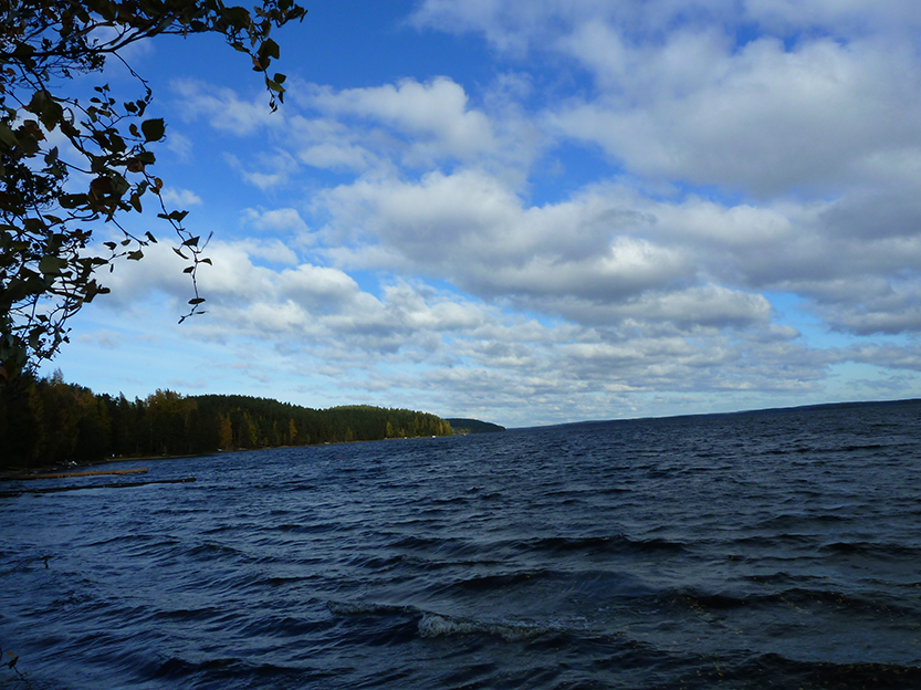 %_tempFileNameP1050361%