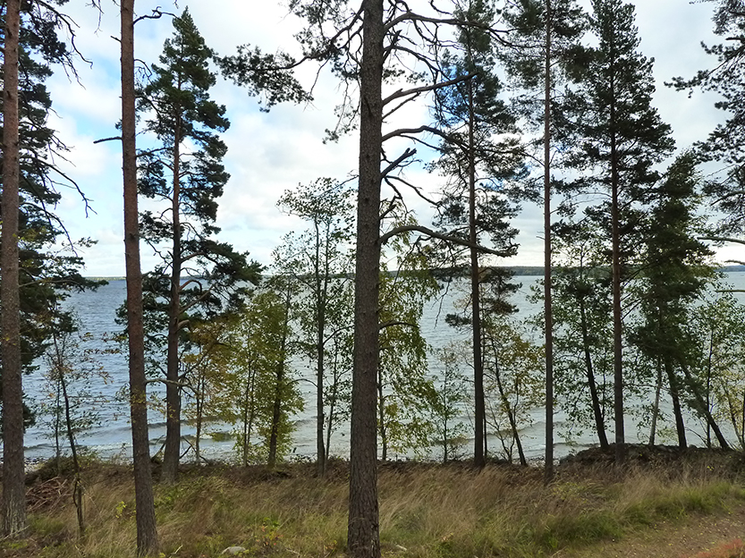 %_tempFileNameP1050372%