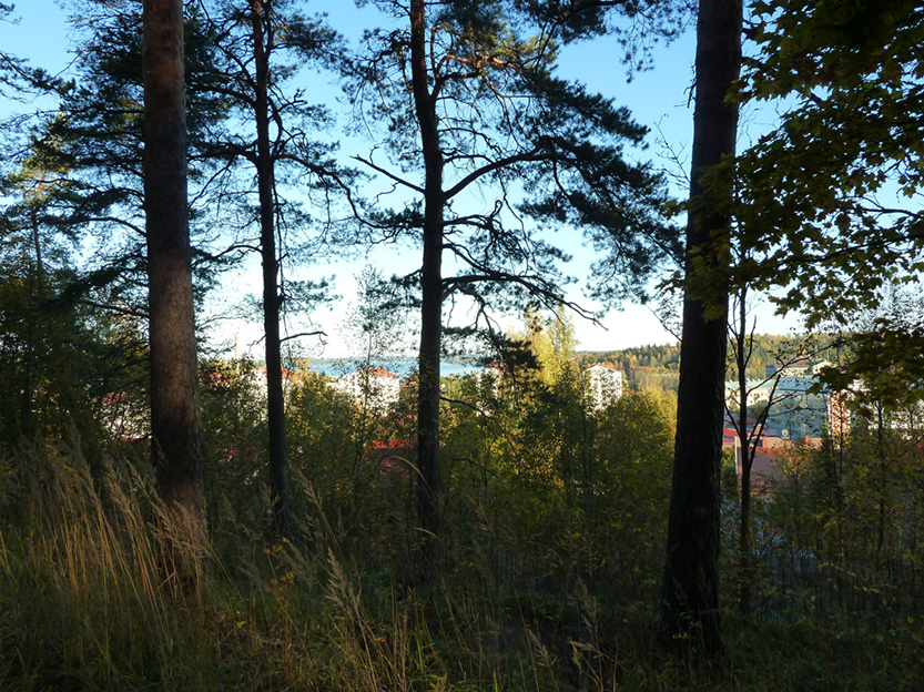 %_tempFileNameP1050253%