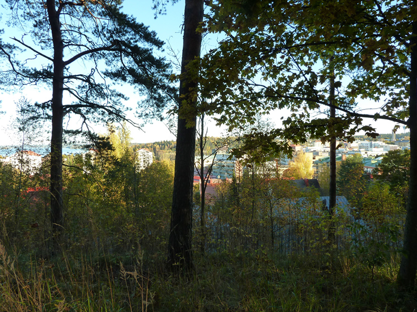 %_tempFileNameP1050254%