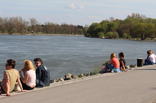 %_tempFileNameIMG_1662%