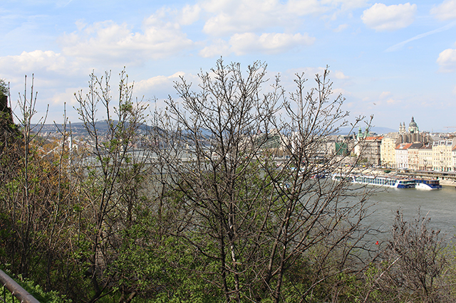 %_tempFileNameIMG_1801%