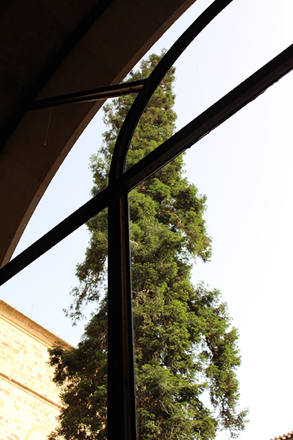 %_tempFileNameIMG_2431%