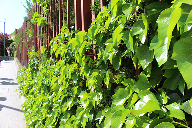 %_tempFileNameIMG_2563%