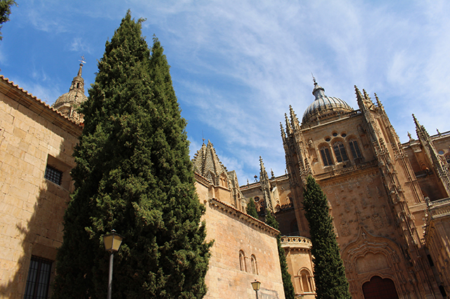 %_tempFileNameIMG_2605%