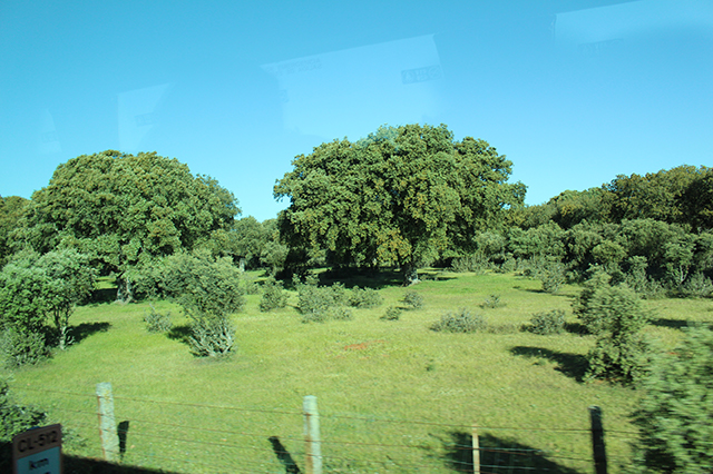 %_tempFileNameIMG_2676%