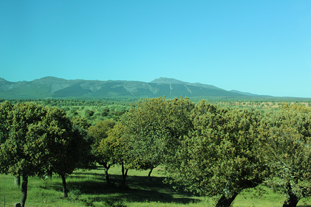 %_tempFileNameIMG_2711%