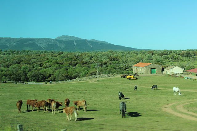 %_tempFileNameIMG_2715%