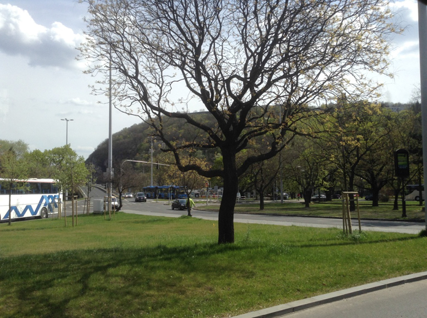 %_tempFileNamethumb_IMG_1047_1024%