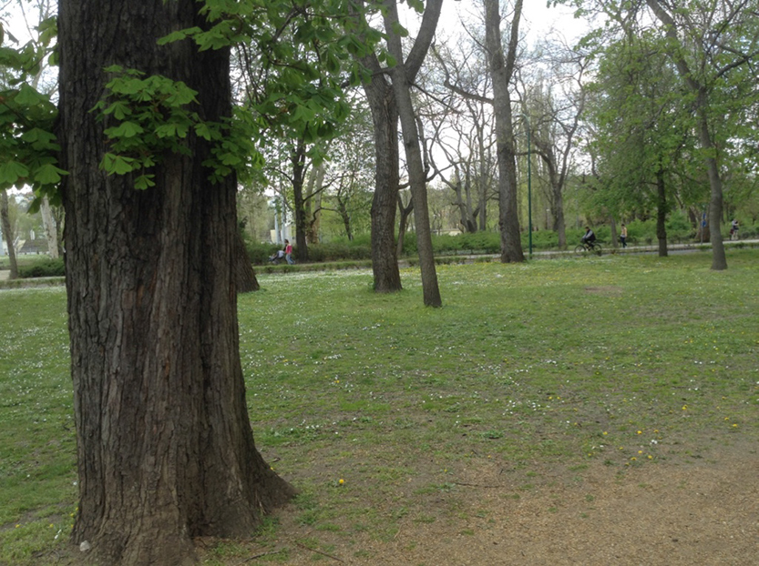 %_tempFileNamethumb_IMG_1525_1024%