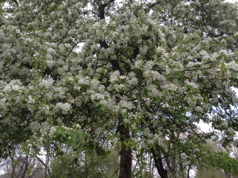 %_tempFileNamethumb_IMG_1535_1024%